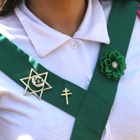 Roseta para Farda - Imagem 4