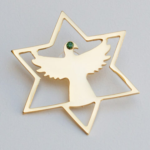 Estrela de fardamento dourada do Santo Daime com pedra de strass