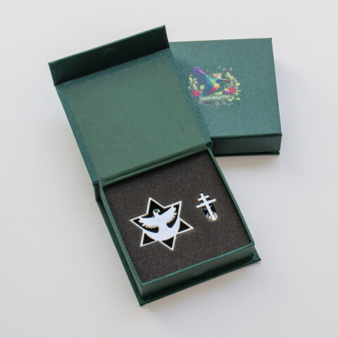 Kit Fardamento Águia Cromada - Estrela+Broche - Imagem 2